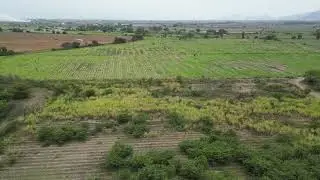 TERRENO AGRICOLA 17 HECTAREAS EN VENTA - CHEPEN LA LIBERTAD