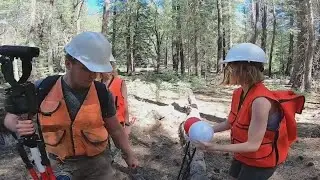 NAU research team determined to return Arizona forest to its former glory | FOX 10 News