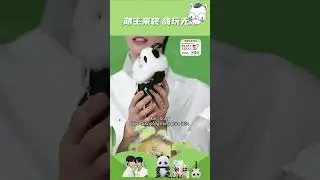 (Vietsub) FULL LIVE 26.11.25 Húc Kim/XuJin #killtolove