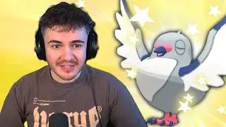 I Shiny Hunted with Dex Nav for Rare Birds in ORAS