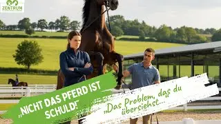 Verhaltensprobleme beim Pferd – Die Ursache, an die kaum einer denkt!