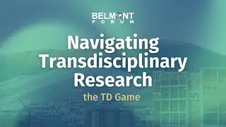 Navigating Transdisciplinary Research: The TD Game