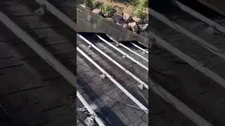 Solar Panel Leak - Find The Leak Make a Quick Fix #solarinstallation