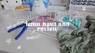 my temu haul