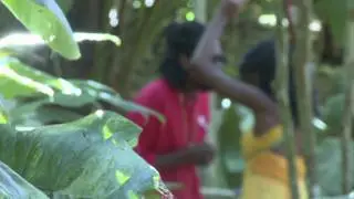 Kenya - My Joy (Just For You Riddim)