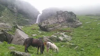 Aaj Ham barish mein bakriyon ko jungle mein lekar Gaye daily life journey 🤪☃️🐑 #trending #videos 