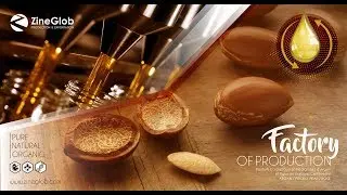 Argan oil Zineglob factory Morocco