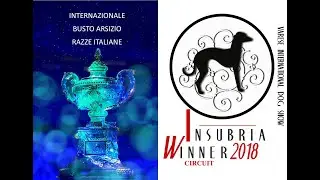 INSUBRIA WINNER 2018 INTERNAZIONALE SEDRIANO RAZZE ITALIANE