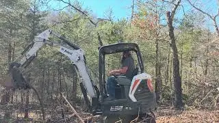 Clearing land in Holiday Island AR