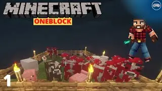 Minecraft But It Is One Block | Minecraft One Block Longplay No Commentary Episode 1
