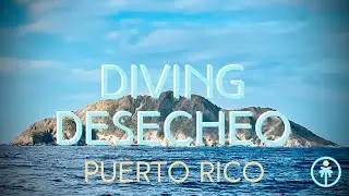 Diving Desecheo, The Uninhabited Island - Puerto Rico