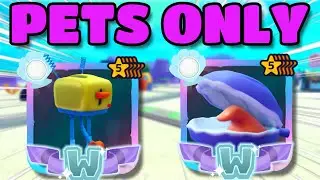 CAN YOU BEAT SBTD WHILE USING ONLY PETS..? (SpongeBob TD)