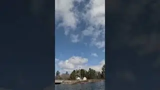 Check out the Osprey flying to its nest
