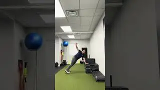 Hands Supported Pushup ISO Rotation