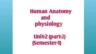 Hand written notes || human anatomy and physiology || unit-2 B pharmacy 1st year