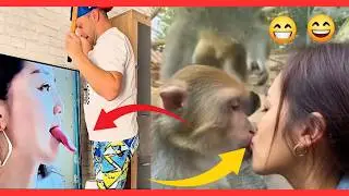 This fun is going viral all over the world! 🌍🤣 | Funny Jholok |