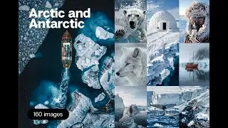 Arctic and Antarctic Stock Graphics Download