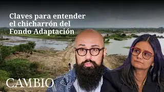 Claves para entender el chicharrón del Fondo Adaptación | CAMBIO