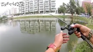 Kuying Rainforest 6-14lb-Pacu Laguna