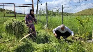 Planting vegetables in concrete circles the village of Iran | IRAN village life