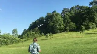 Maiden Flight Fancy Foam Edge 540