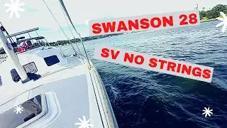 SWANSON 28  