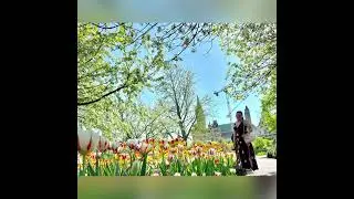 Canada Spring 🌷 2022