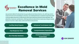 Sacramento Mold Professionals || Say Goodbye To Mold Forever