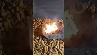 🌽 Corn Field Flood Cleaning | Farm Recovery After Heavy Rain & snow fall #croploss #