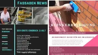 Altanstriche richtig Entfernen.