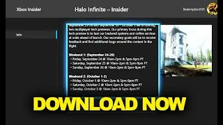 You Can Download Flight 3 NOW! | Halo Infinite (Xbox Players)