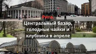 Воскресная прогулка на Центральный рынок, кормление чаек у Бастионной горки. Рига, апрель 2024