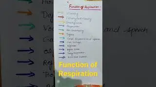 #function of respiration. 🫁Lungs function 🫁 medical point.