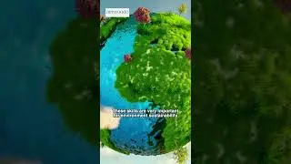 What are Green Skills?