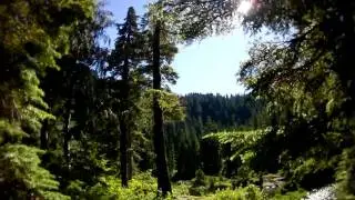 Arrival at Lake Stickney.MOV