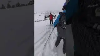 What Do Freeheel Skiers Obsess About?