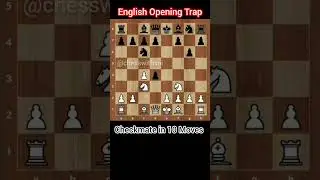 The English Opening is a popular choice at all levels of chess, favored by players .
