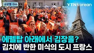 [반복재생] 매년 김장해서 먹어요! 유럽 최초 김치의 날까지 지정한 프랑스인들의 대규모 김장 행사 / YTN korean