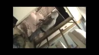 Short Film Market Attack part 2