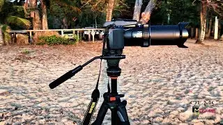 Nikon P1000 zoom/zoom mic test (fail on zoom mic) 4K 30p