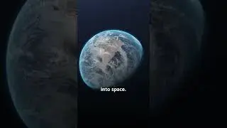 First CAT In Space😱