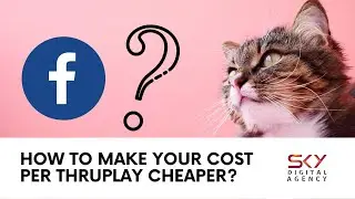 Facebook Video Ads | Make your Cost Per ThruPlay CHEAPER with Animation