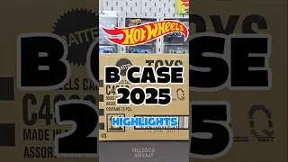 Hot Wheels B Case 2025 Highlights