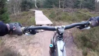 dalby forest April 2017