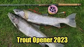 Trout Opener 2023 / Lake Ontario Tributary / Steelhead Fishing!