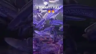 STEWARTY FULLDOT