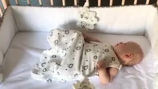 best baby product Nurturally Baby Anti Roll Support   Safe Breathable Fabric for Babies