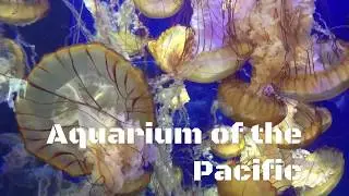 Aquarium of the Pacific