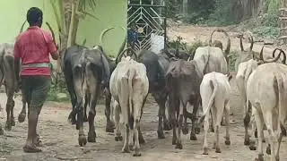 ಚಿತ್ರದುರ್ಗ ತಾಲೂಕಿನ ಒಚಿ ಬೋರಯ್ಯ ಬಡಾವಣೆ