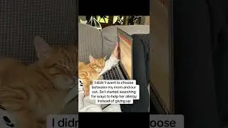 #catmomlife #lovemycat #catsoftiktok #catlover #catmom